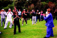 WorldTaiChiDayMelb2005_05.jpg (57147 bytes)